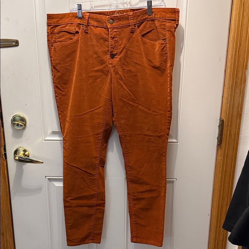 Universal Thread Men's Corduroy Pants in Burnt Orange